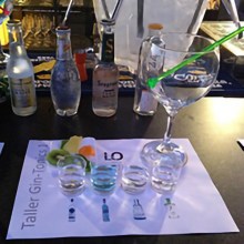 cata de ginebras5